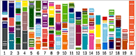 genome