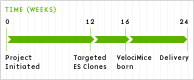 timeline