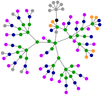 Site Map (graph representation)