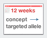 12weeks